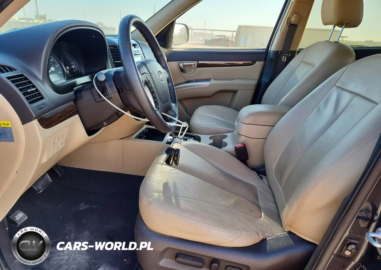 2010 Hyundai Santa Fe Limited VIN:5NMSK4AG5AH375454 - 7