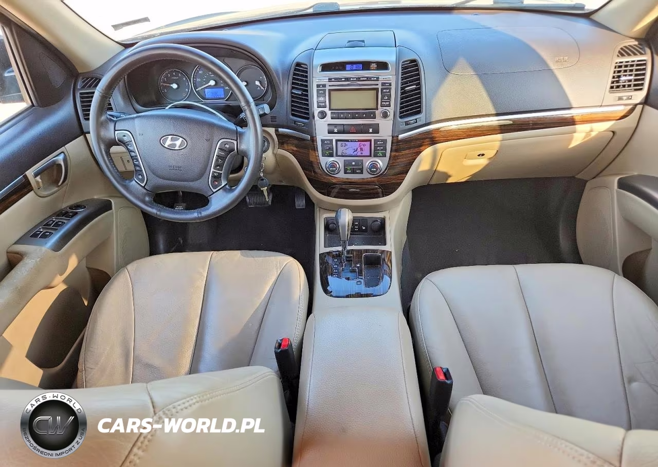 2010 Hyundai Santa Fe Limited VIN:5NMSK4AG5AH375454 - 8