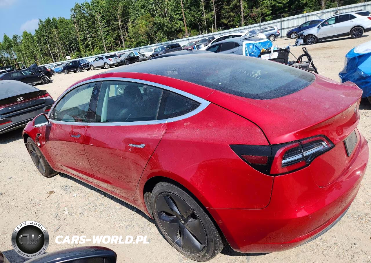 2020 Tesla Model 3 VIN:5YJ3E1EB1LF664313 - 2