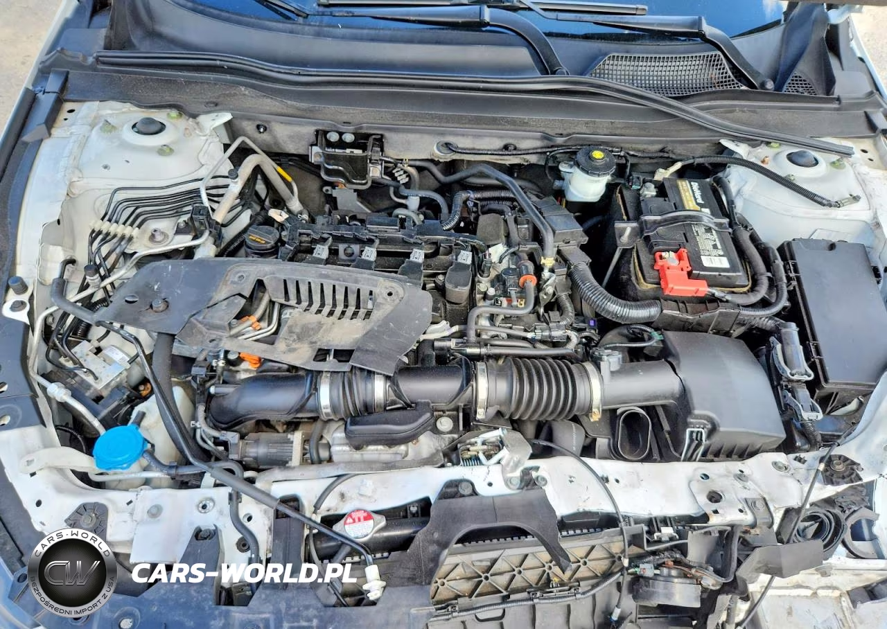 2019 Honda Accord Lx VIN:1HGCV1F17KA067598 - 11