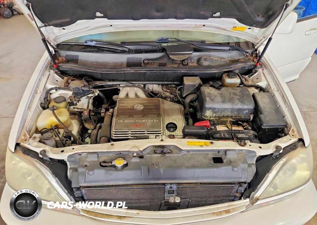 2002 Lexus Es 300 VIN:JTJHF10U820271057 - 12