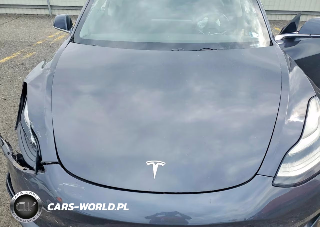 2018 Tesla Model 3 VIN:5YJ3E1EB3JF087099 - 11