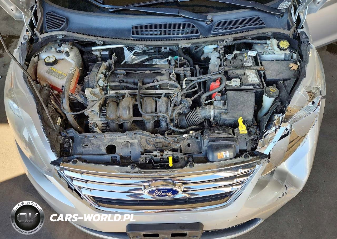 2013 Ford Fiesta Se VIN:3FADP4BJ4DM177444 - 11