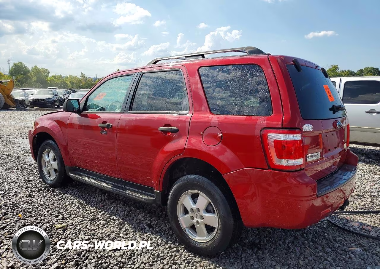 2011 Ford Escape Xlt VIN:1FMCU0D72BKA19449 - 2