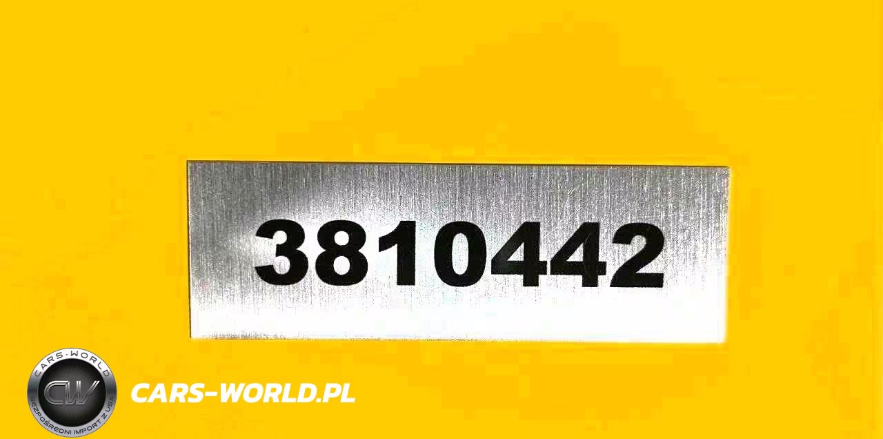 2025 OTHER SKID STEER  VIN:3810442 - 9