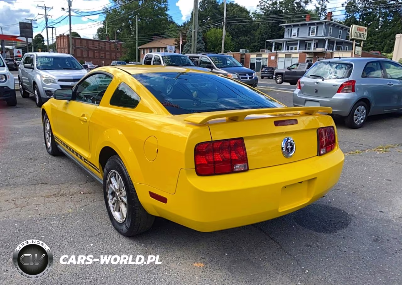 2006 Ford Mustang VIN:1ZVFT80N065115900 - 3