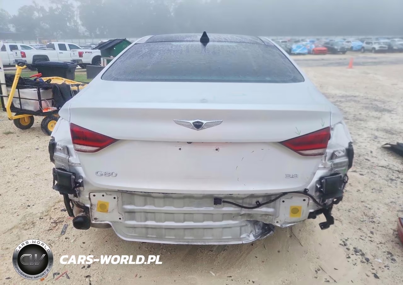 2017 Genesis G80 3.8 VIN:KMHGN4JE5HU167908 - 6