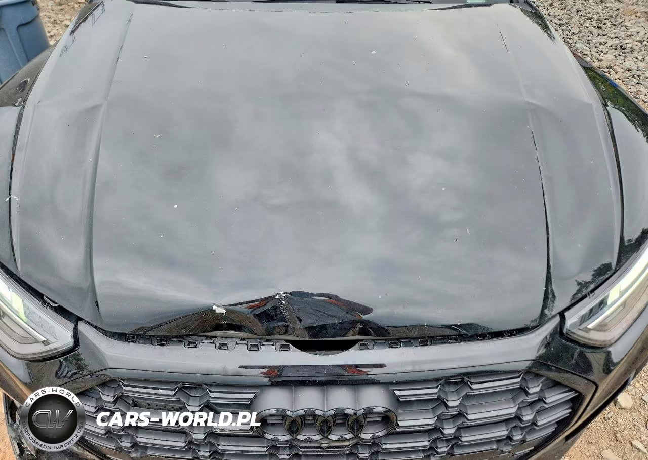 2024 Audi Sq5 Premium Plus VIN:WA1B4AFY8R2109706 - 12