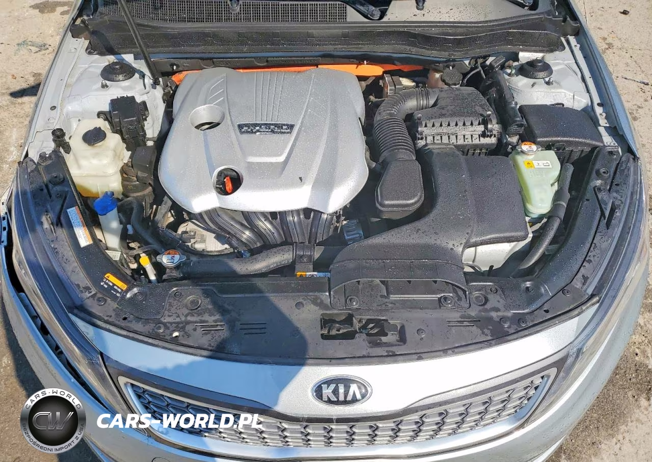 2014 Kia Optima Hybrid VIN:KNAGM4AD6E5070055 - 11