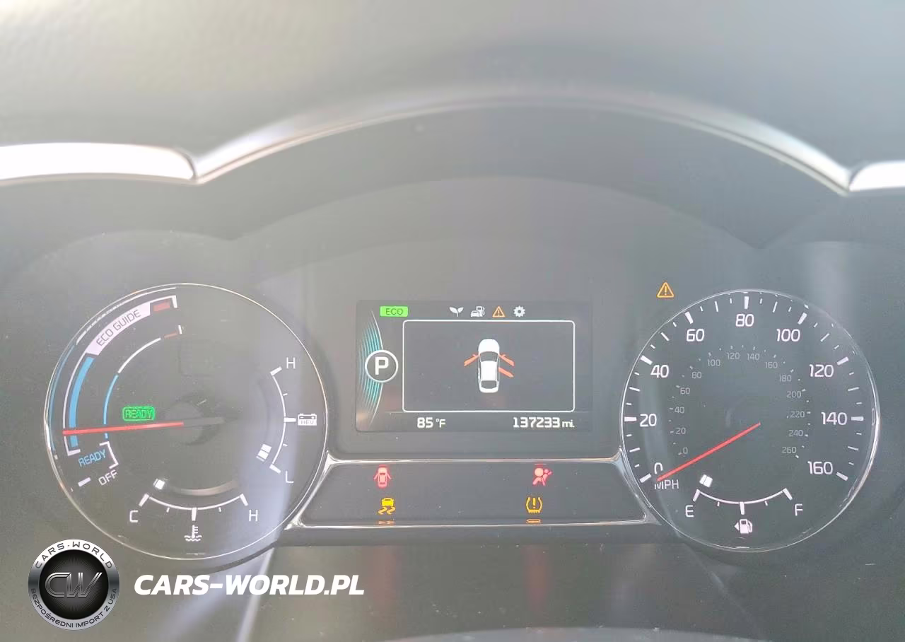 2014 Kia Optima Hybrid VIN:KNAGM4AD6E5070055 - 9