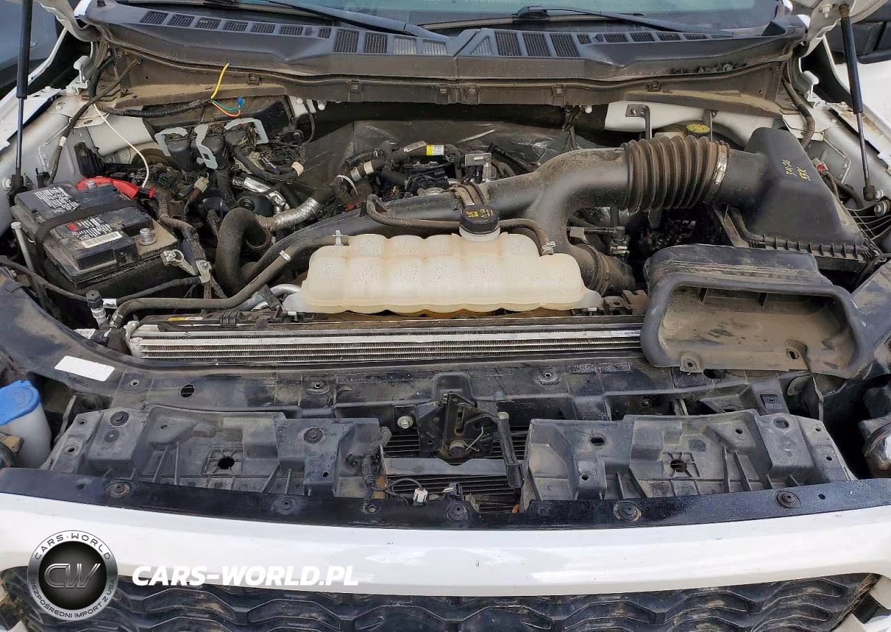 2023 Ford F150 Super Cab VIN:1FTEX1CP6PKD00401 - 11