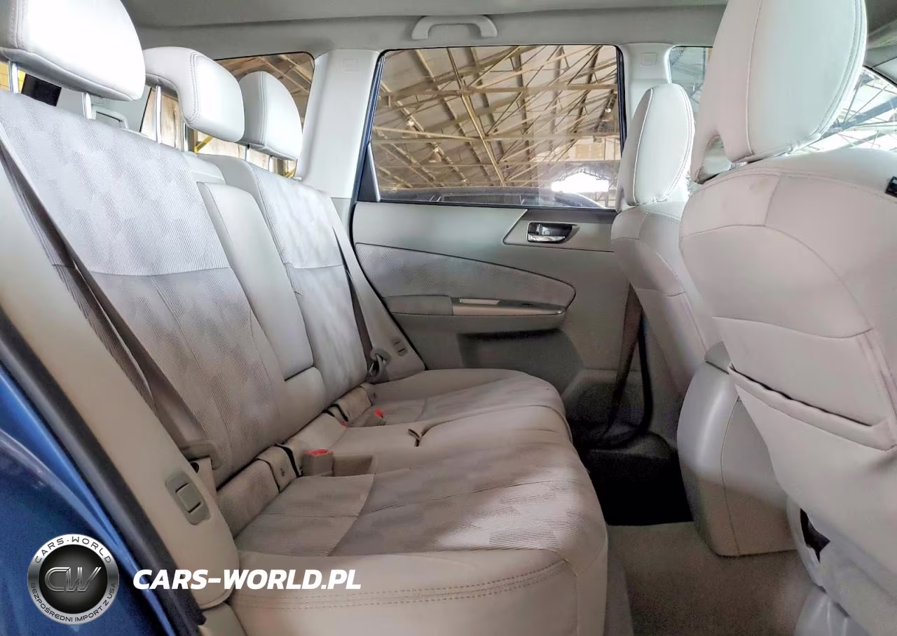 2010 Subaru Forester 2.5X Premium VIN:JF2SH6CC0AH786624 - 10