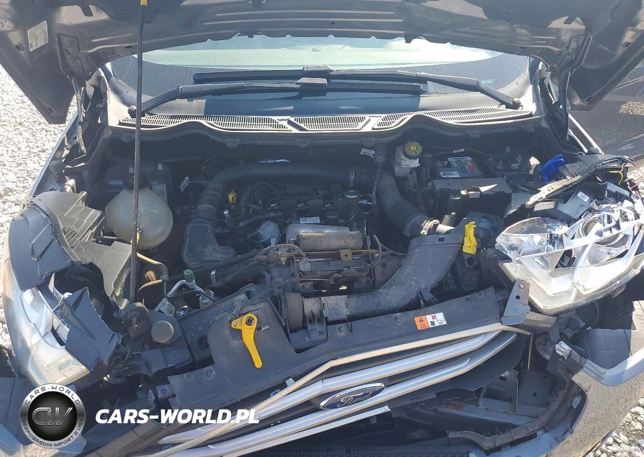 2020 Ford Ecosport Se VIN:MAJ3S2GE2LC318313 - 12