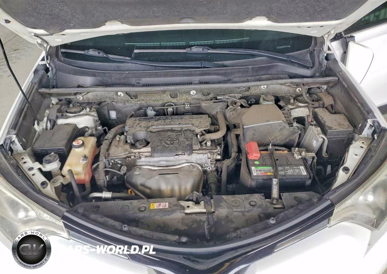2018 Toyota Rav4 Xle VIN:JTMWFREV6JJ211118 - 12