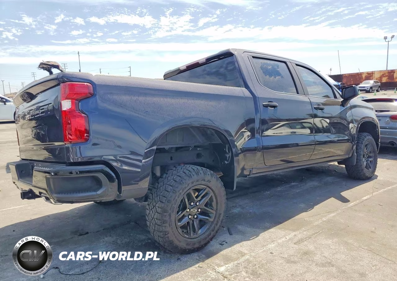 2023 Chevrolet Silverado K1500 Trail Boss Custom VIN:3GCUDCED2PG136543 - 3