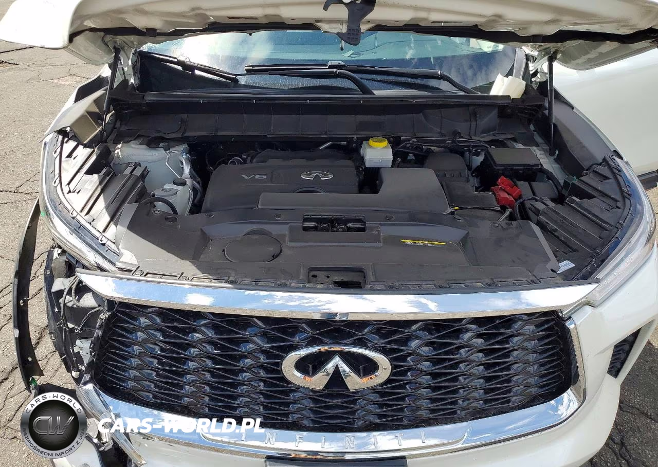 2023 Infiniti Qx60 Luxe VIN:5N1DL1FS6PC369442 - 12