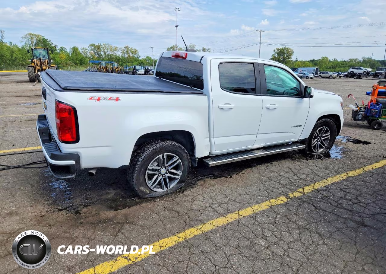 2019 Chevrolet Colorado VIN:1GCGTBEN6K1266075 - 3