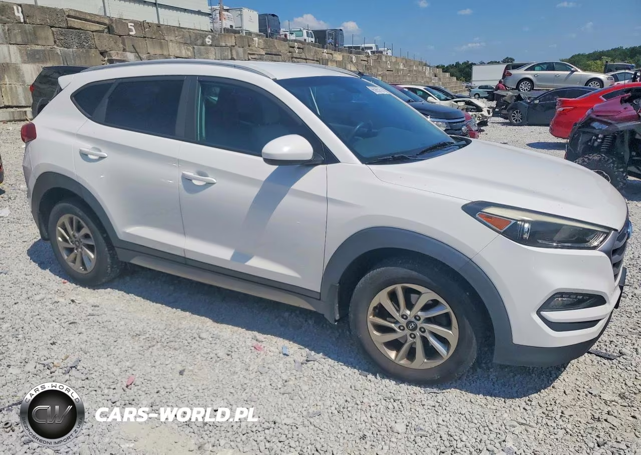 2017 Hyundai Tucson Se VIN:KM8J3CA4XHU293615 - 4