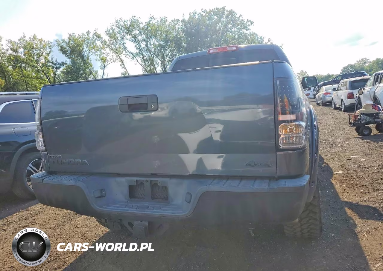 2010 Toyota Tundra Double Cab Sr5 VIN:5TFUM5F15AX007439 - 6