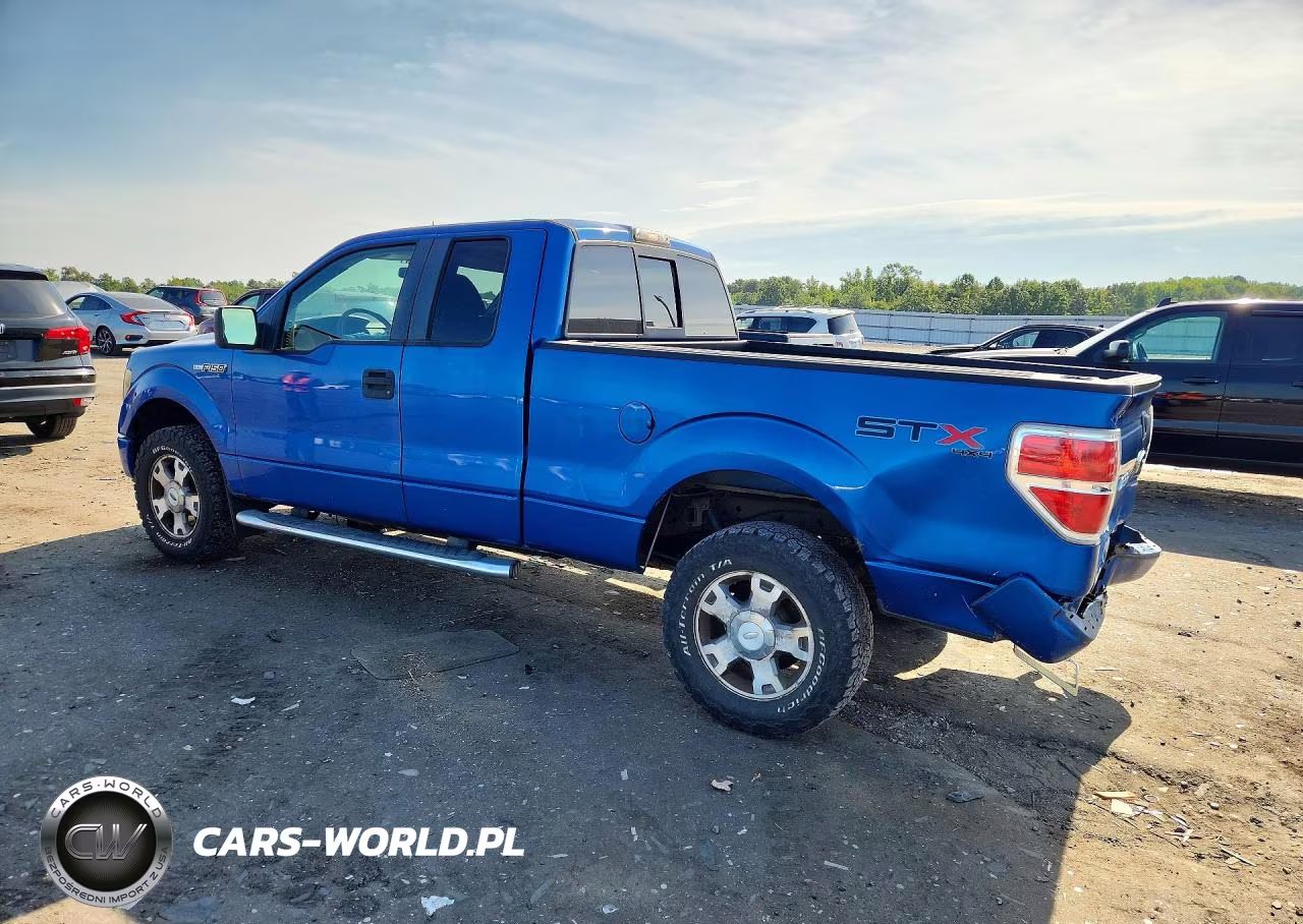 2010 Ford F150 Super Cab VIN:1FTEX1E8XAFD49607 - 2