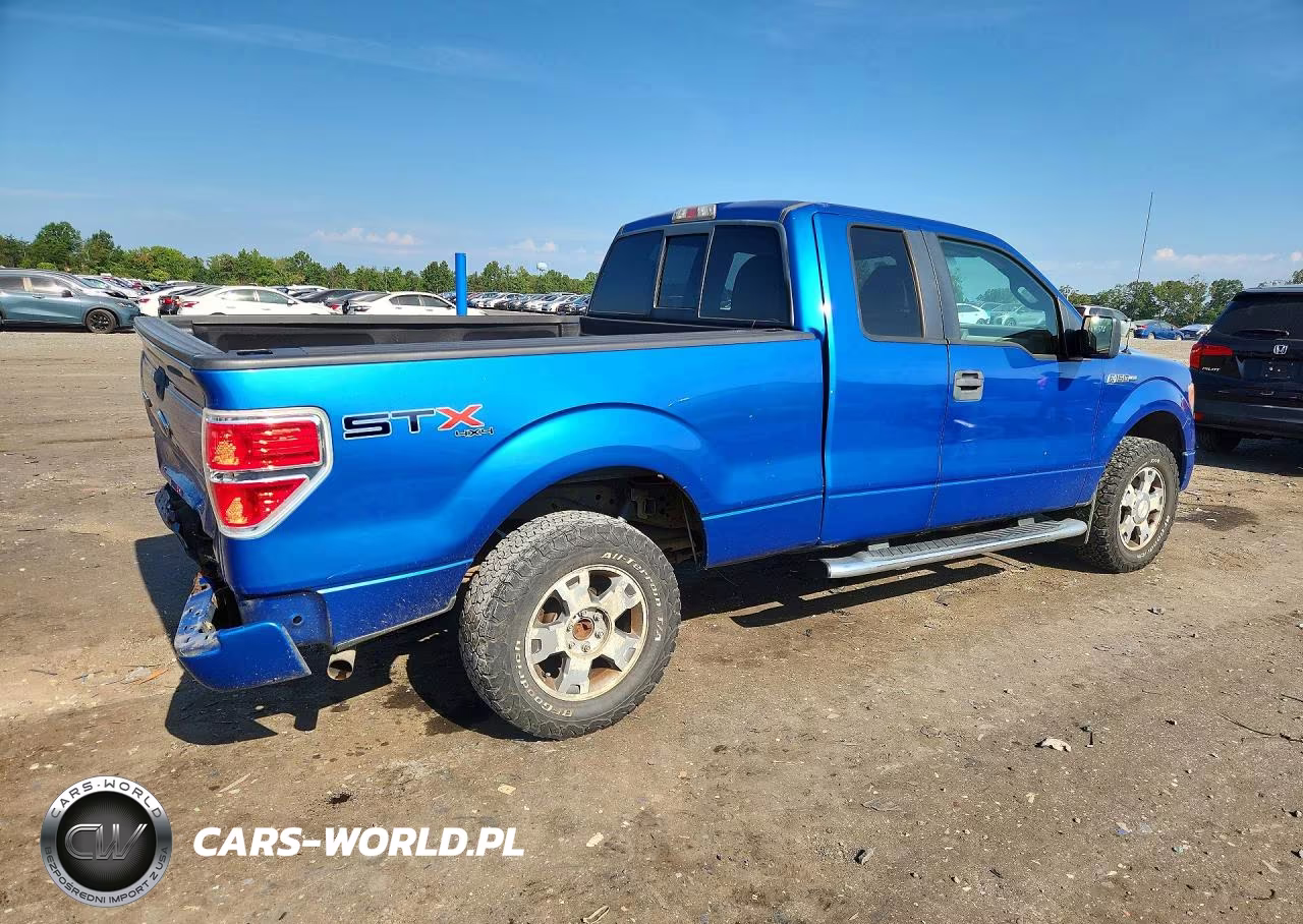 2010 Ford F150 Super Cab VIN:1FTEX1E8XAFD49607 - 3