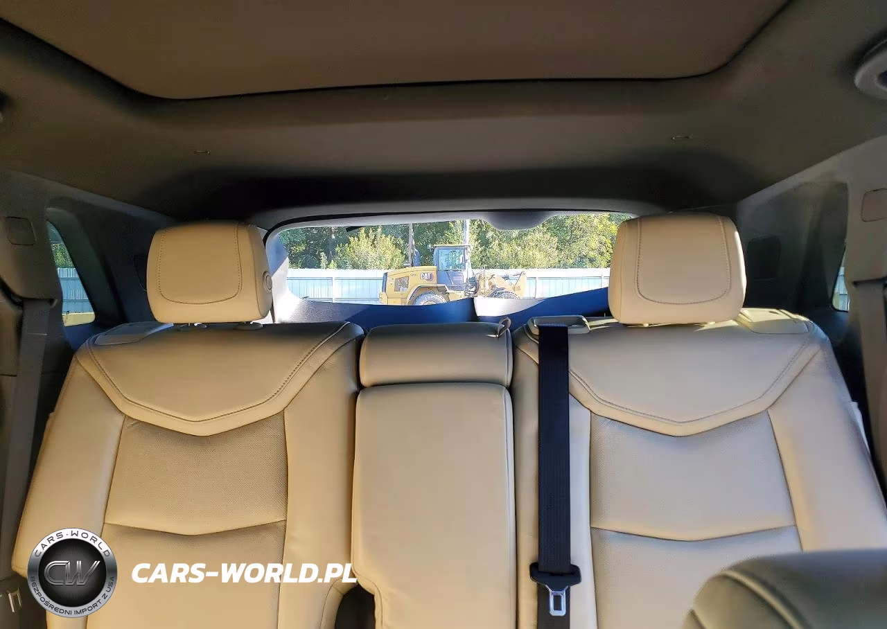 2020 Cadillac Xt5 Luxury VIN:1GYKNBRS8HZ299474 - 10