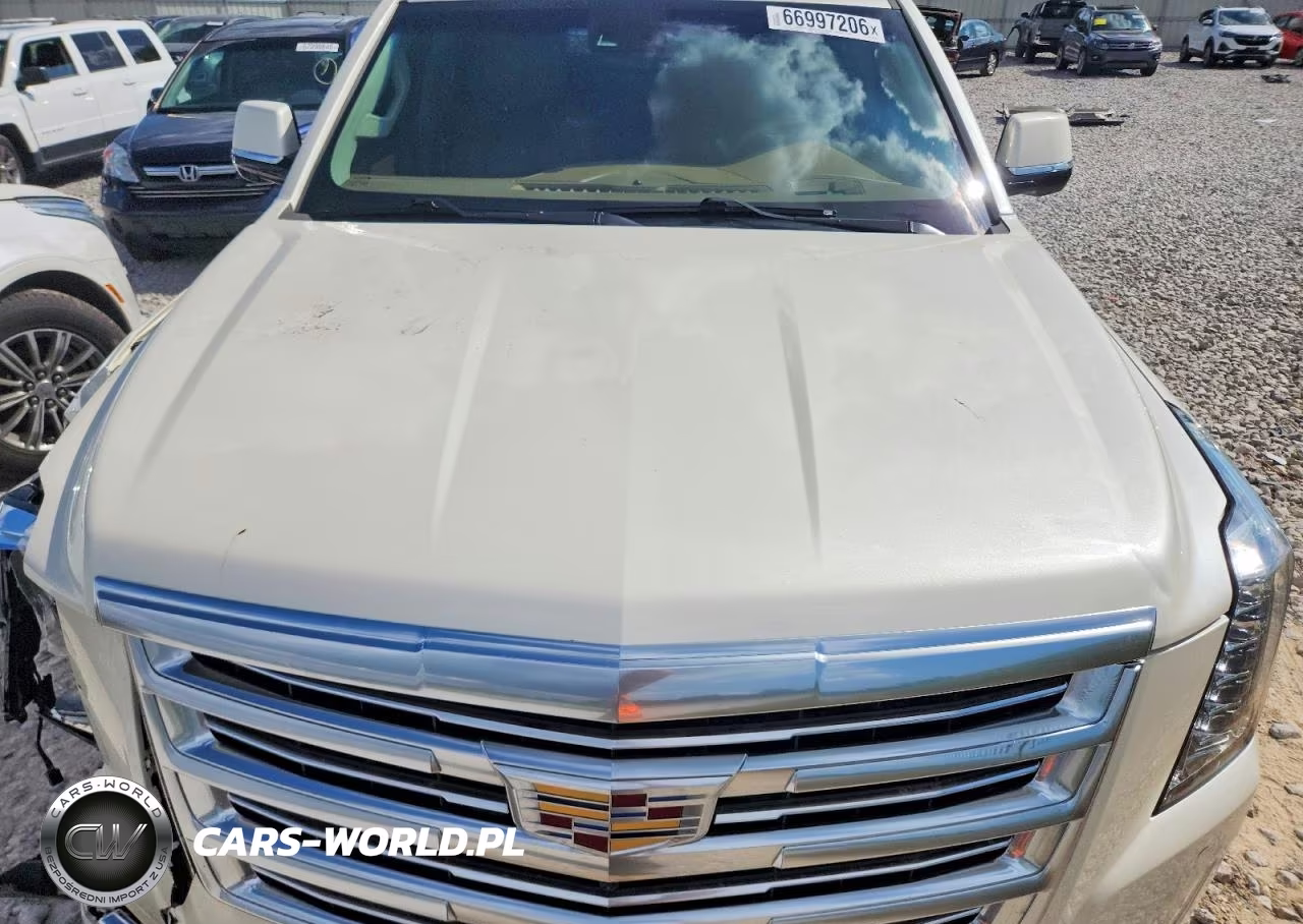 2015 Cadillac Escalade Esv Platinum VIN:1GYS4UKJ4FR646196 - 12