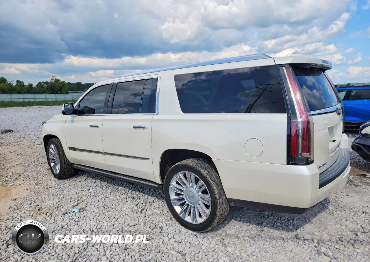 2015 Cadillac Escalade Esv Platinum VIN:1GYS4UKJ4FR646196 - 2