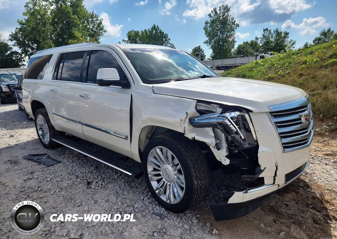 2015 Cadillac Escalade Esv Platinum VIN:1GYS4UKJ4FR646196 - 4
