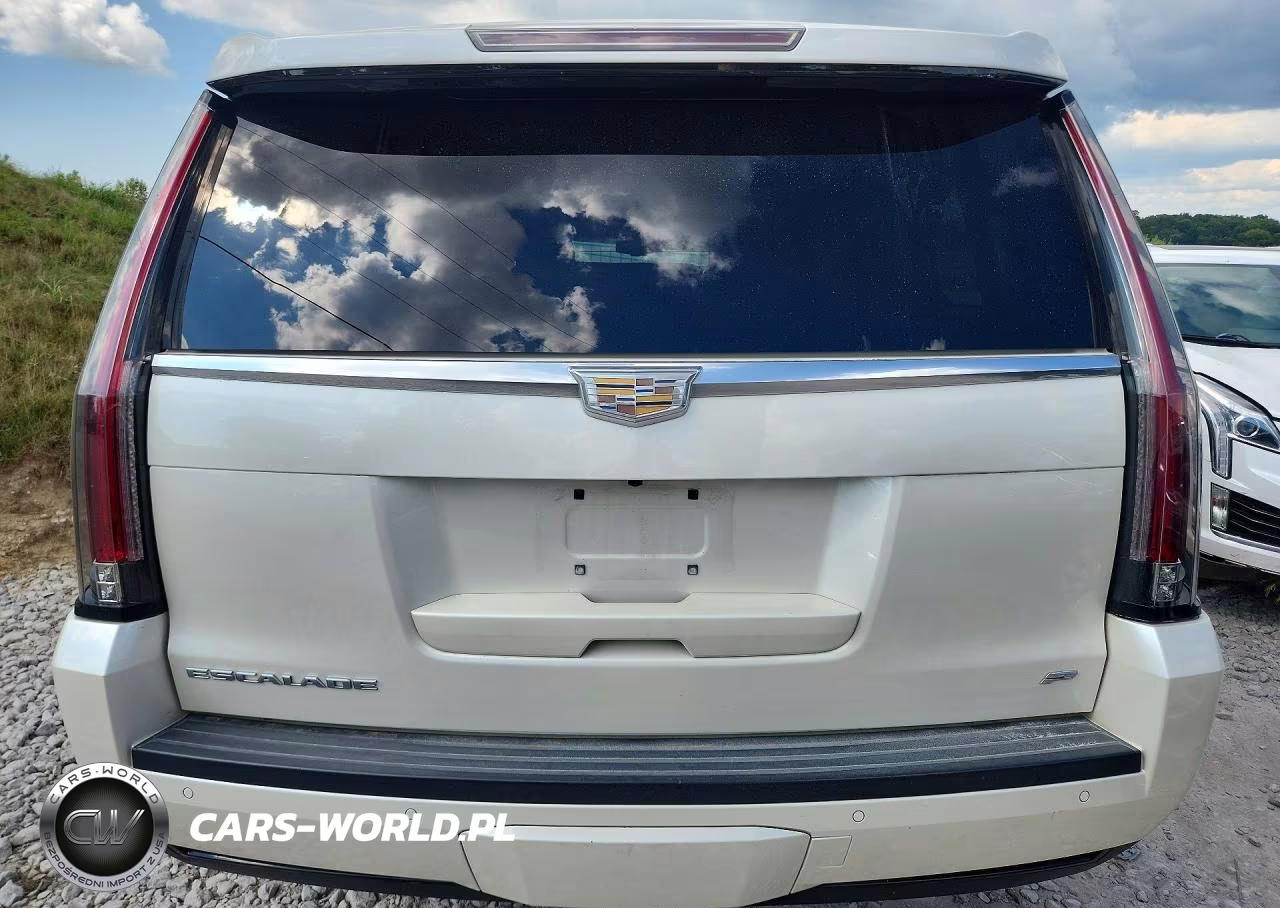 2015 Cadillac Escalade Esv Platinum VIN:1GYS4UKJ4FR646196 - 6