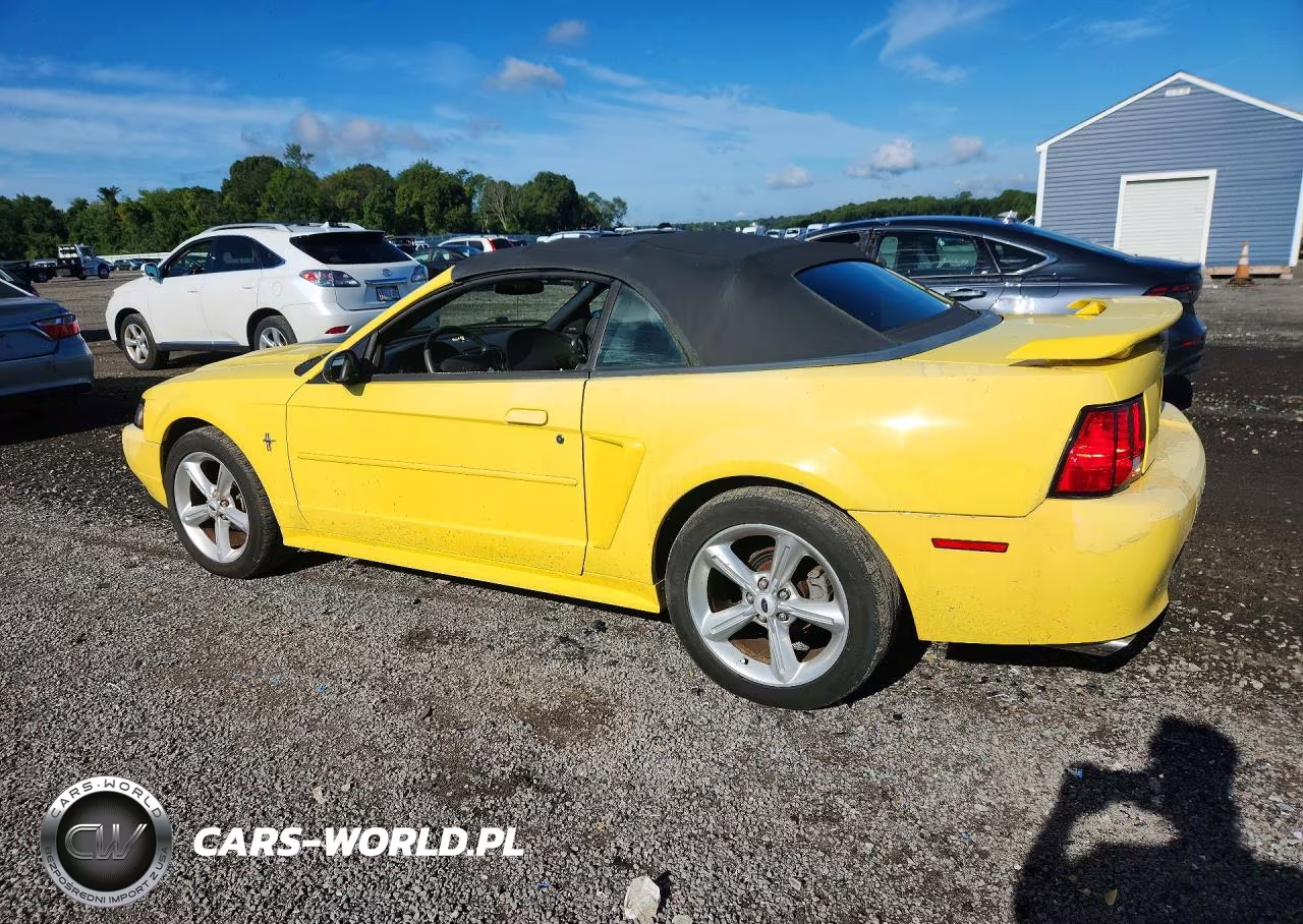 2003 Ford Mustang VIN:1FAFP44433F330121 - 2