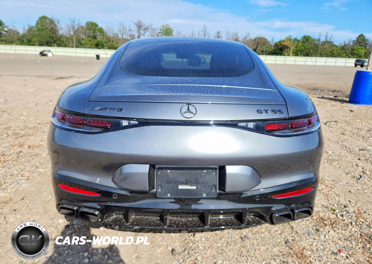 2024 Mercedes-Benz Amg Gt 55 VIN:W1KRJ8AB0RF002267 - 6