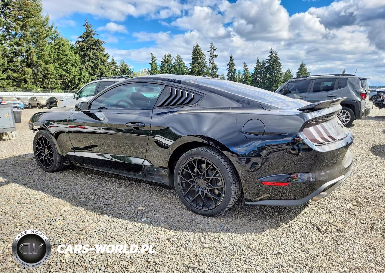 2019 Ford Mustang VIN:1FA6P8TH8K5176845 - 2