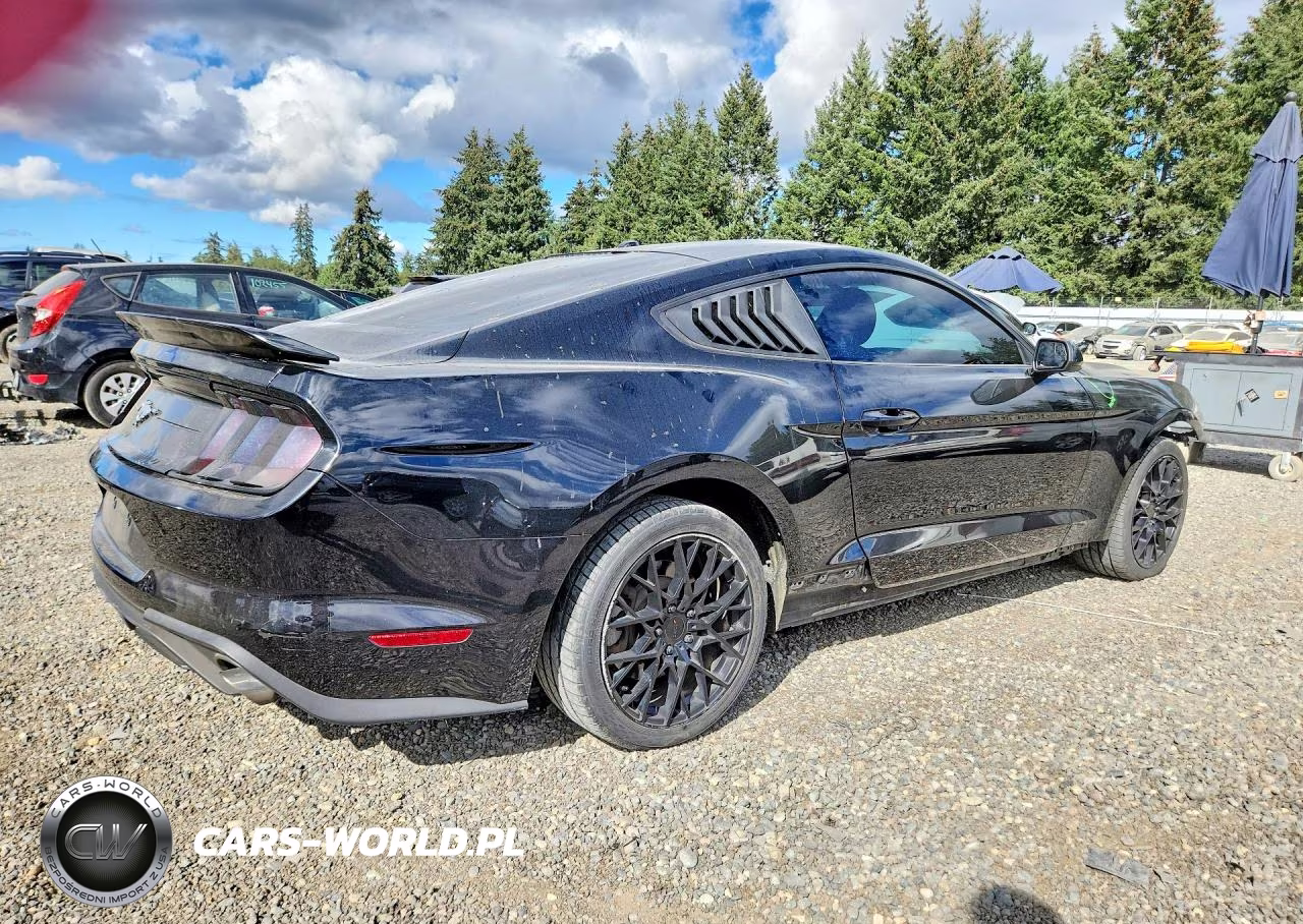 2019 Ford Mustang VIN:1FA6P8TH8K5176845 - 3
