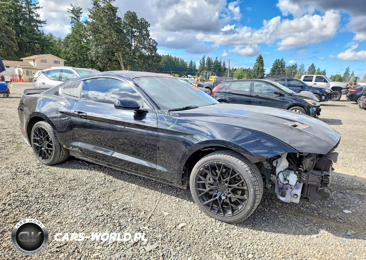 2019 Ford Mustang VIN:1FA6P8TH8K5176845 - 4