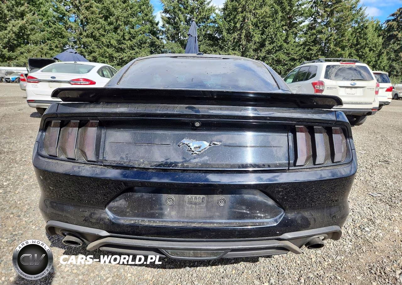 2019 Ford Mustang VIN:1FA6P8TH8K5176845 - 6