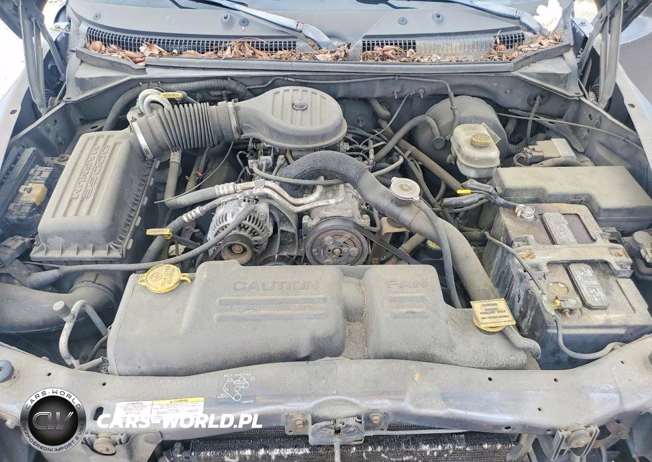 2003 Dodge Dakota Quad Sport VIN:1D7HL38X73S142938 - 11