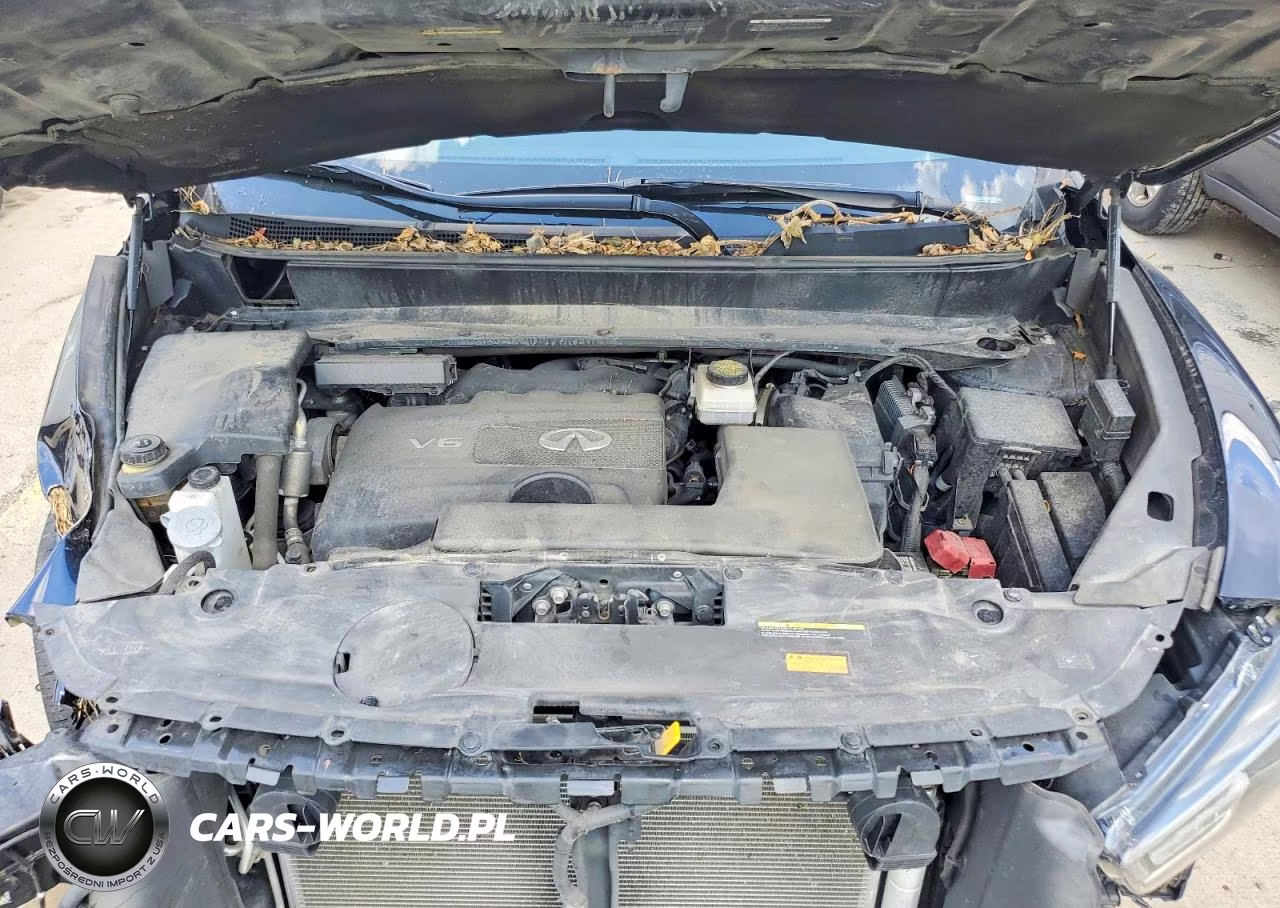 2019 Infiniti Qx60 Luxe VIN:5N1DL0MM2KC569595 - 12