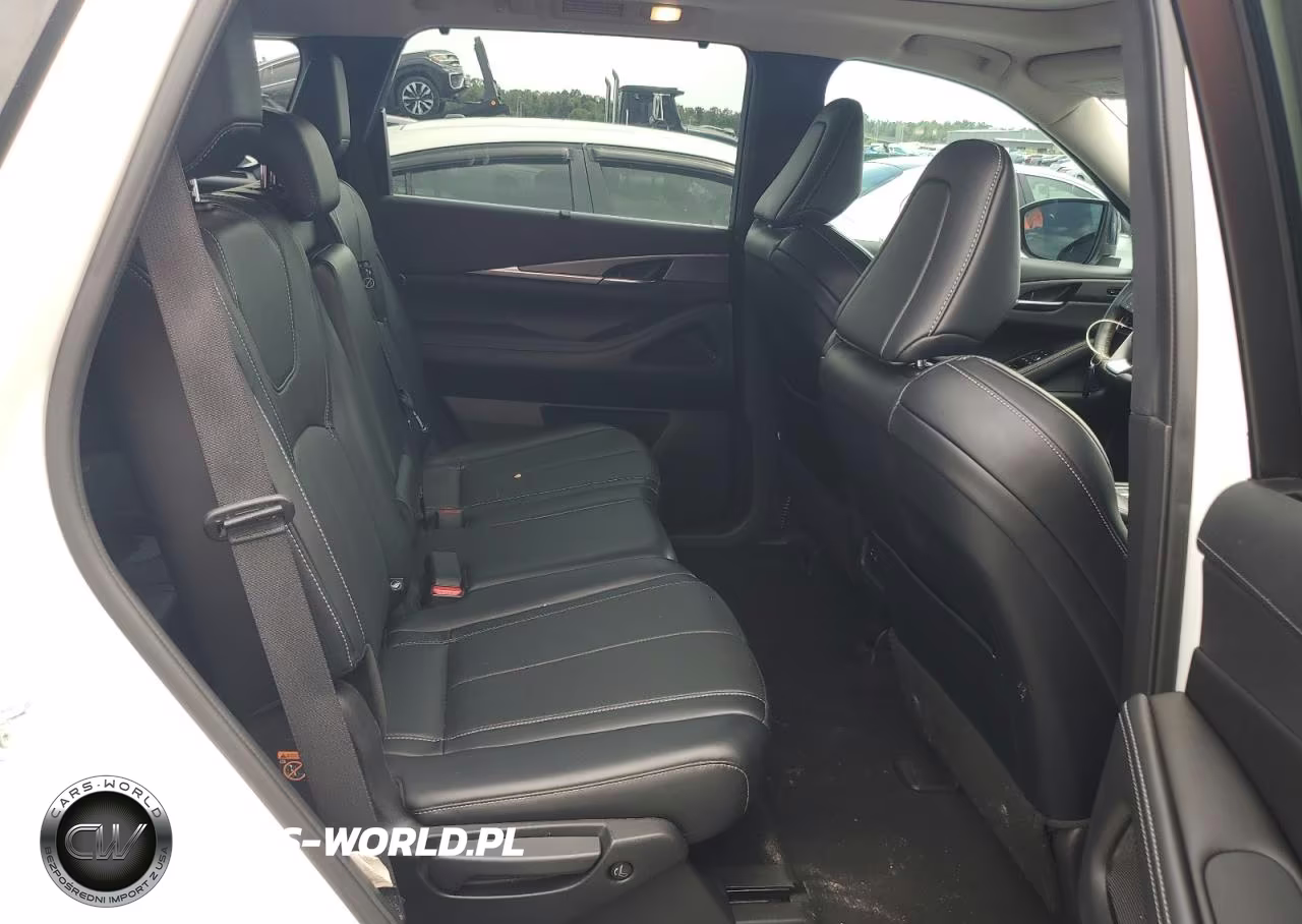 2023 Infiniti Qx60 Luxe VIN:5N1DL1FS3PC370533 - 10