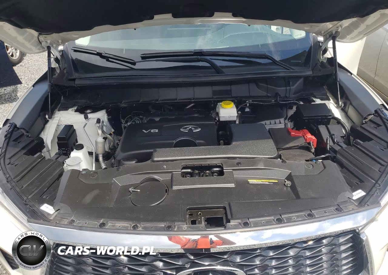 2023 Infiniti Qx60 Luxe VIN:5N1DL1FS3PC370533 - 11