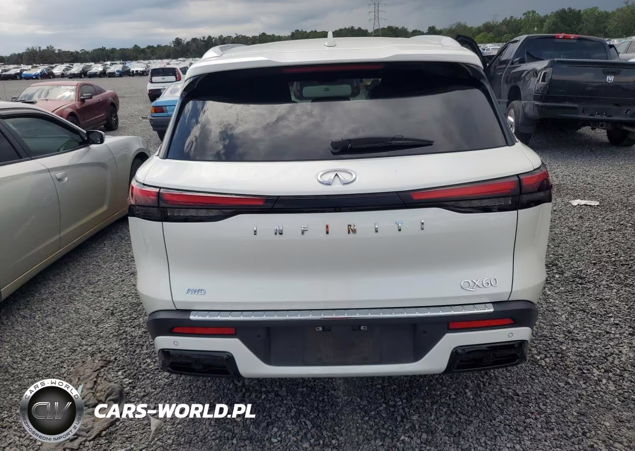 2023 Infiniti Qx60 Luxe VIN:5N1DL1FS3PC370533 - 6