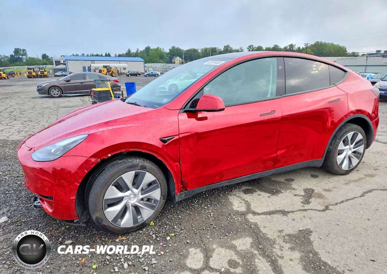 2023 Tesla Model Y VIN:7SAYGDEEXPF823298 - 1