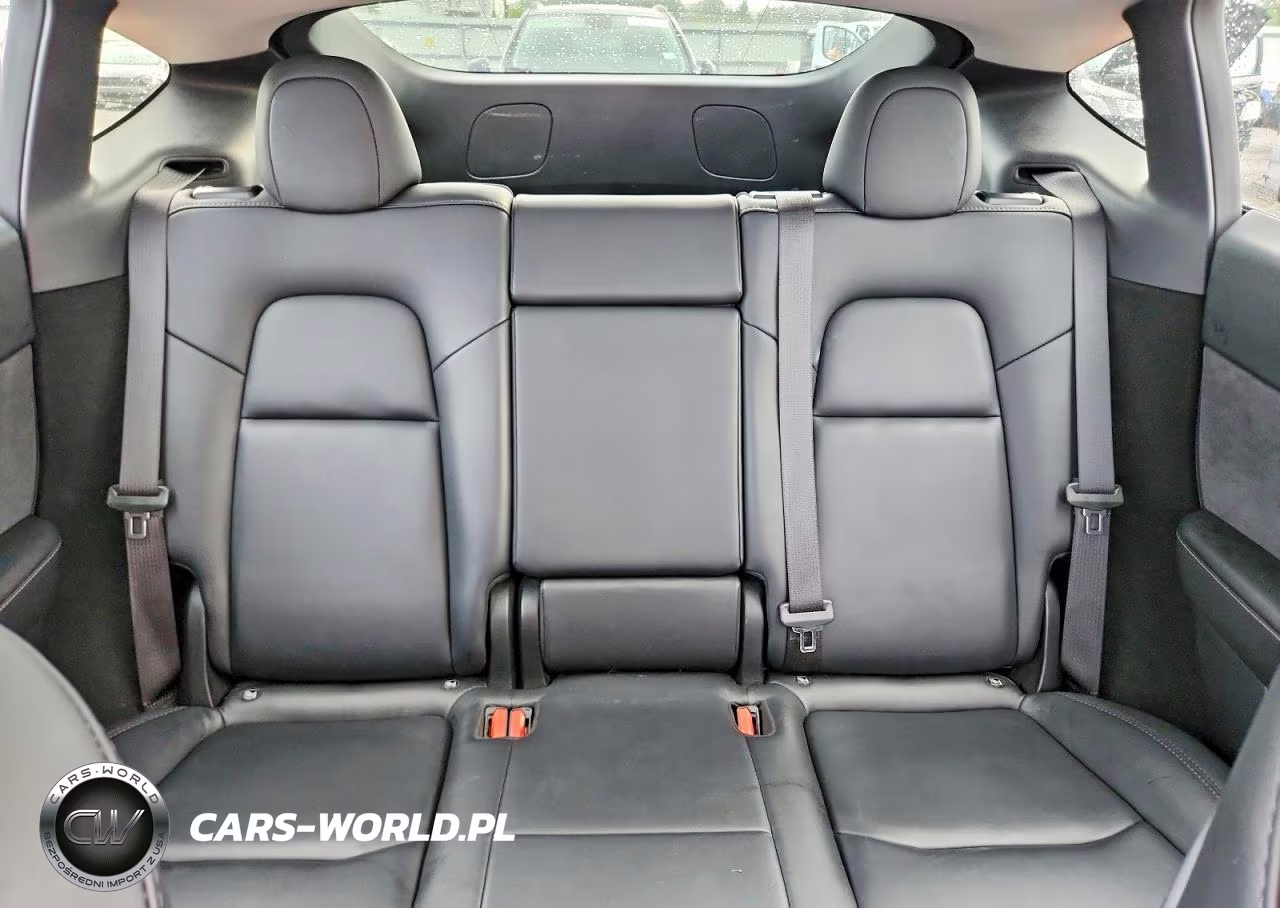 2023 Tesla Model Y VIN:7SAYGDEEXPF823298 - 10
