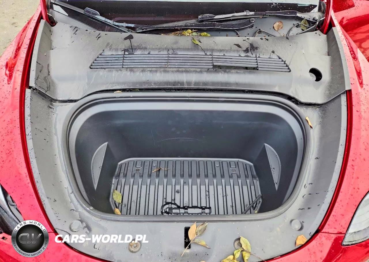 2023 Tesla Model Y VIN:7SAYGDEEXPF823298 - 12