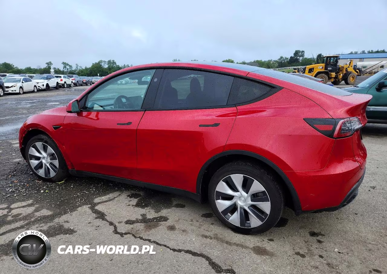 2023 Tesla Model Y VIN:7SAYGDEEXPF823298 - 2