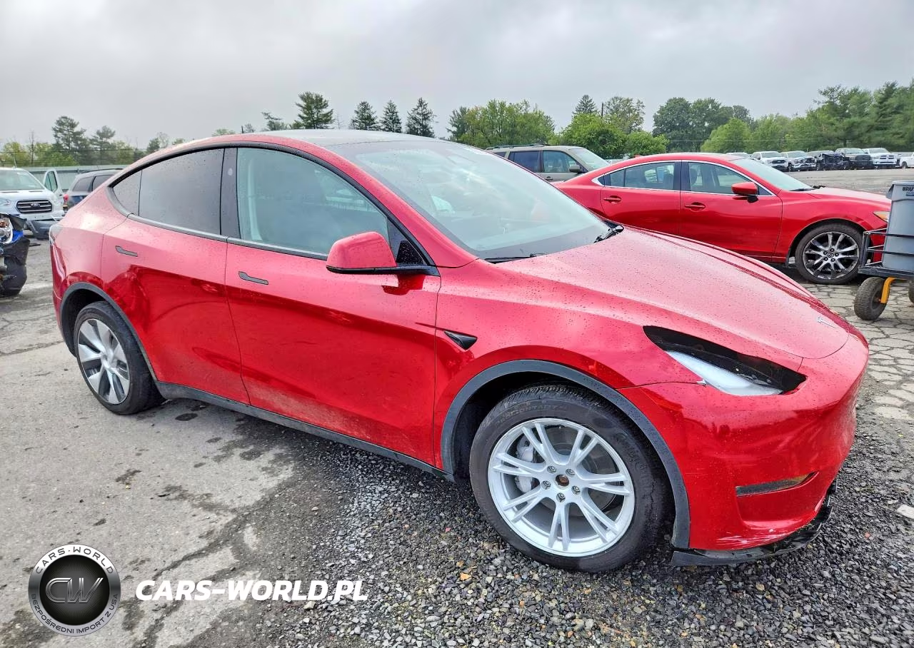 2023 Tesla Model Y VIN:7SAYGDEEXPF823298 - 4