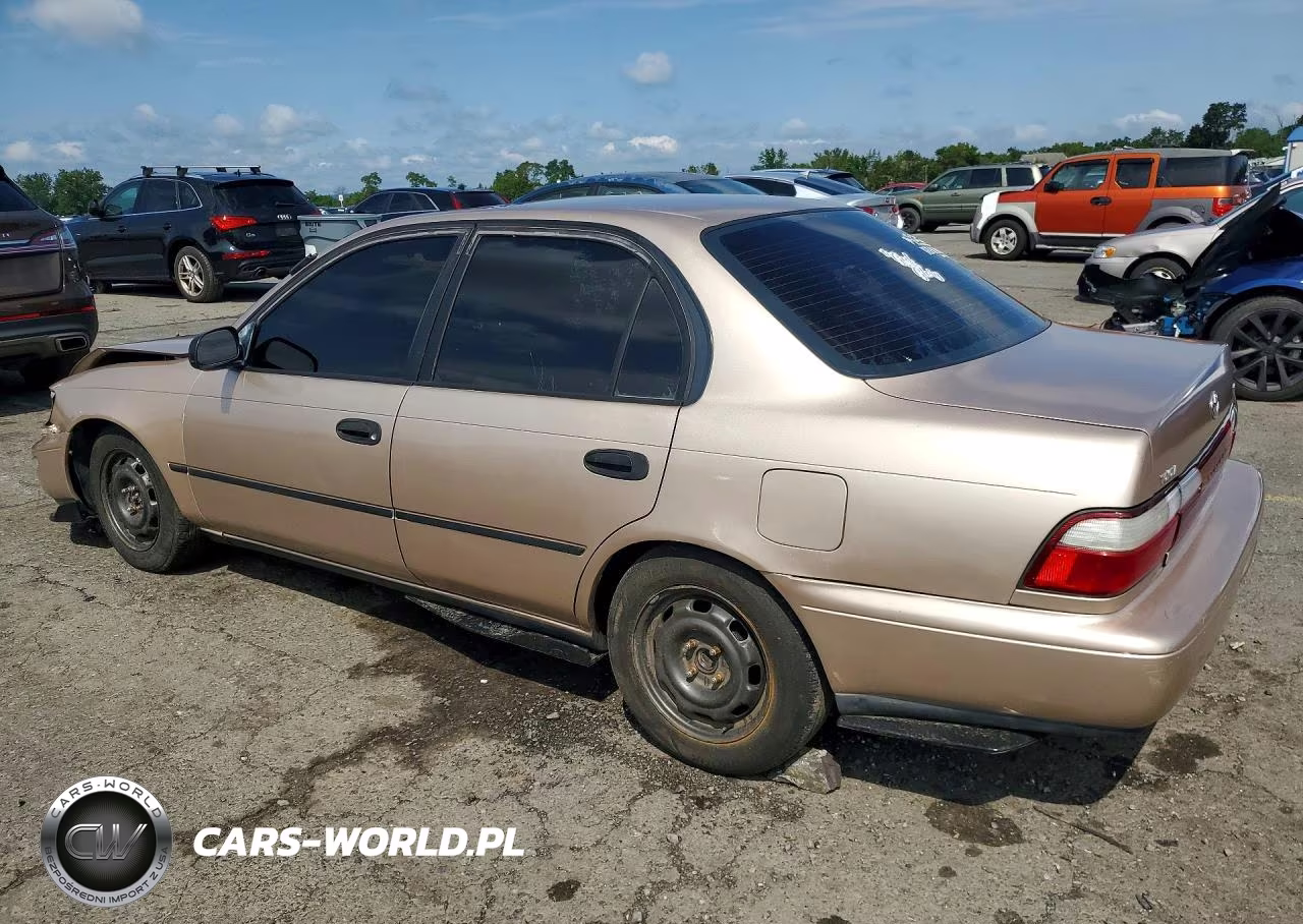 1994 Toyota Corolla Dx VIN:2T1AE09B4RC052891 - 2