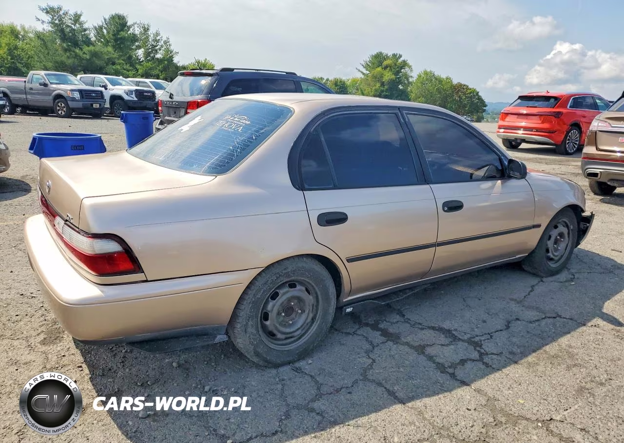 1994 Toyota Corolla Dx VIN:2T1AE09B4RC052891 - 3