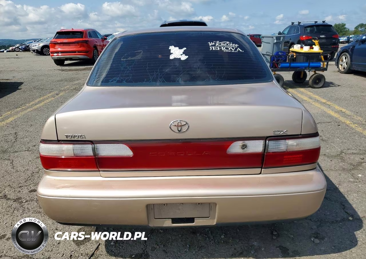 1994 Toyota Corolla Dx VIN:2T1AE09B4RC052891 - 6