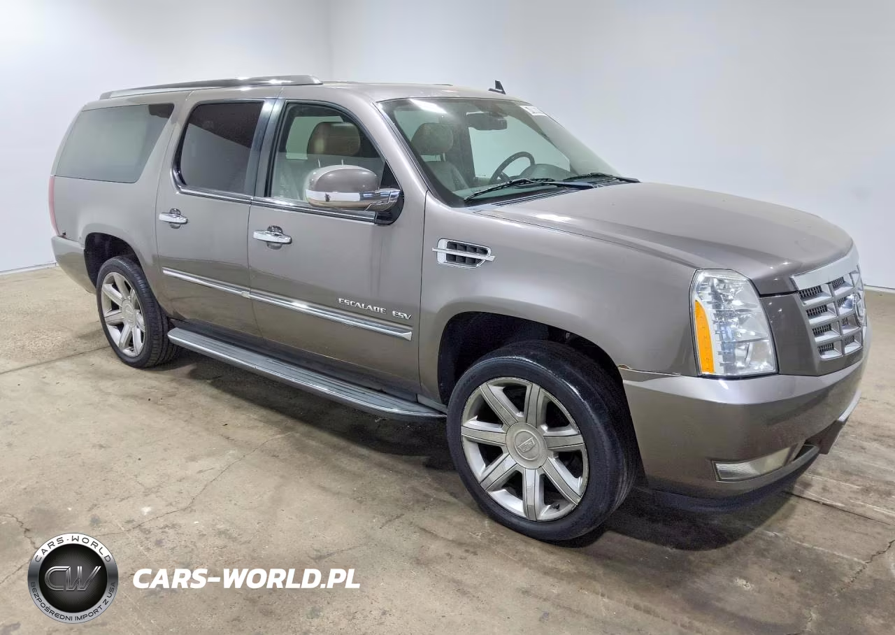 2011 Cadillac Escalade Esv Luxury VIN:1GYS4HEF4BR238029 - 4